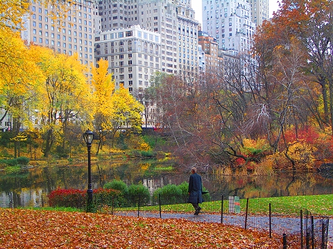 NY-Central_Park-Duck_Pond-Fall_Color-02.jpg