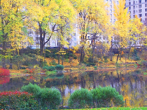 NY-Central_Park-Duck_Pond-Fall_Color-03.jpg