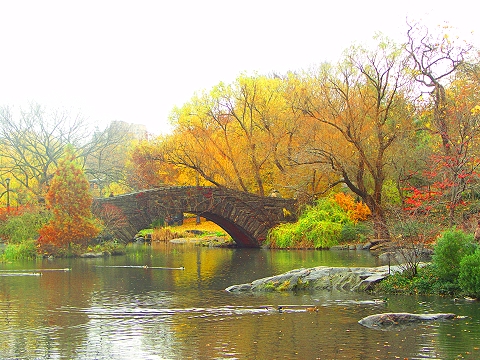 NY-Central_Park-Duck_Pond-Fall_Color-05.jpg