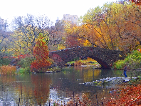 NY- Central Park, Duck Pond, central park nyc pictures. NY- Central Park, Duck Pond,