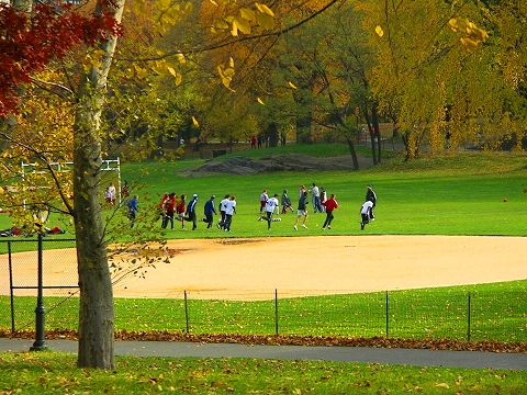 NY-Central_Park_Fall_Colors-Soccer-Dogs-01.JPG