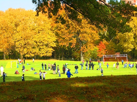 NY-Central_Park_Fall_Colors-Soccer-Dogs-05.JPG