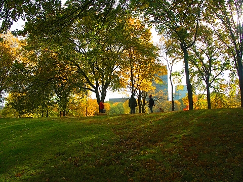 NY-Central_Park_Fall_Colors-Soccer-Dogs-07.JPG