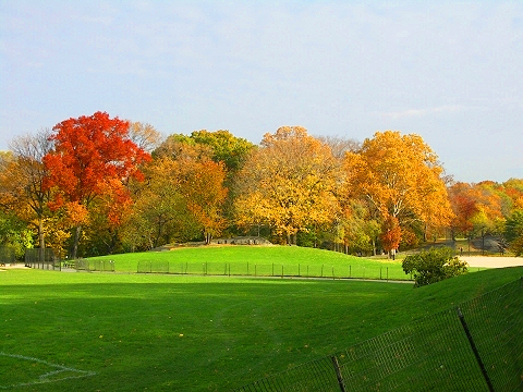 NY-Central_Park_Fall_Colors-Soccer-Dogs-08.JPG
