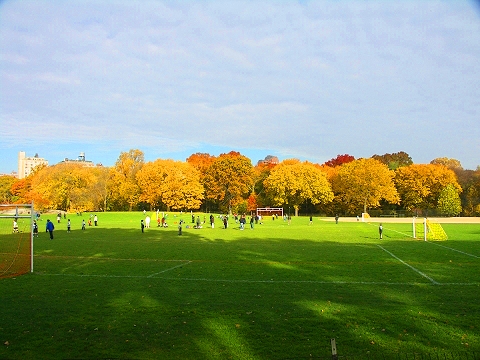 NY-Central_Park_Fall_Colors-Soccer-Dogs-09.JPG