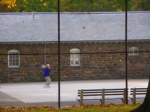 NY-Central_Park_Fall_Colors-Soccer-Dogs-10.JPG