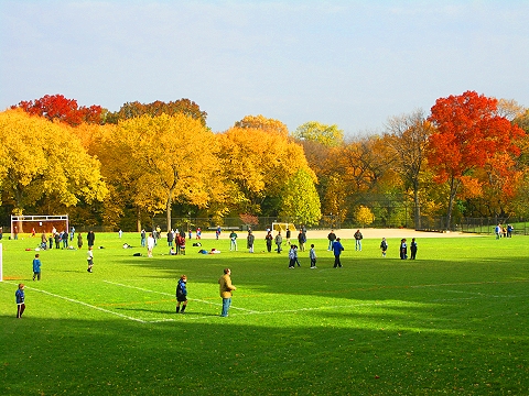 NY-Central_Park_Fall_Colors-Soccer-Dogs-12.JPG