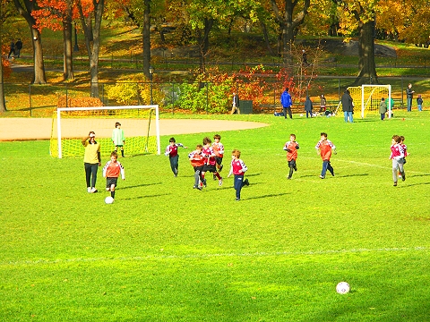 NY-Central_Park_Fall_Colors-Soccer-Dogs-13.JPG