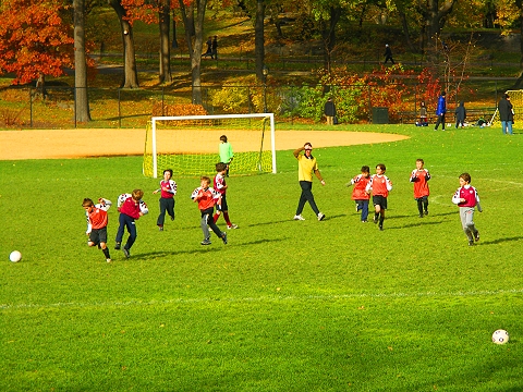 NY-Central_Park_Fall_Colors-Soccer-Dogs-14.JPG