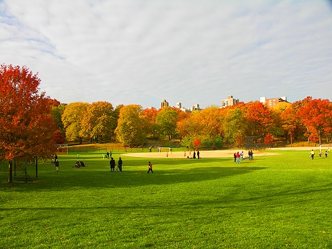 NY-Central_Park_Fall_Colors-Soccer-Dogs-15.JPG