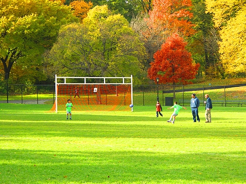 NY-Central_Park_Fall_Colors-Soccer-Dogs-17.JPG