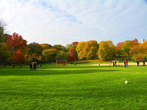 NY-Central_Park_Fall_Colors-Soccer-Dogs-18.JPG