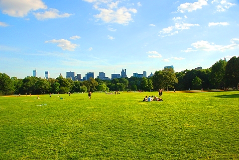 NY-Central_Park_Great_Lawn-Belvedere_Castle-10.JPG