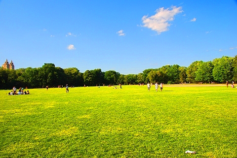 NY-Central_Park_Great_Lawn-Belvedere_Castle-16.JPG