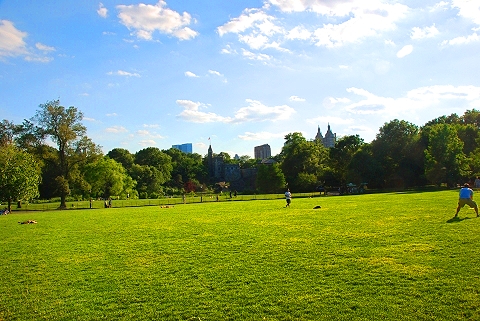 NY-Central_Park_Great_Lawn-Belvedere_Castle-21.JPG