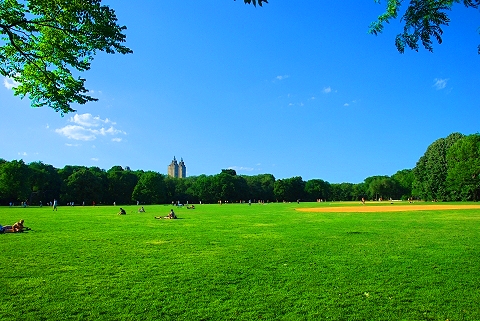 NY-Central_Park_Great_Lawn-Belvedere_Castle-24.JPG