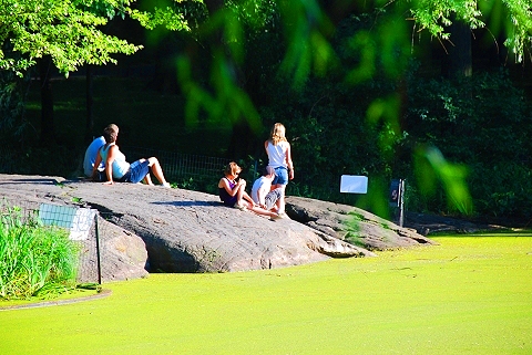 NY-Central_Park_Great_Lawn-Belvedere_Castle-27.JPG