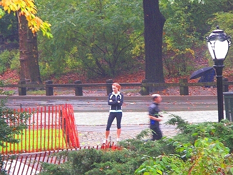 NY-Central_Park_in_the_rain-01.JPG