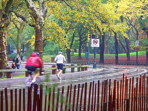 NY-Central_Park_in_the_rain-02.JPG