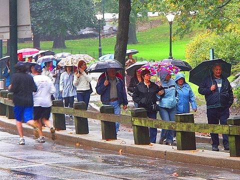NY-Central_Park_in_the_rain-04.JPG