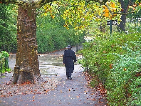 NY-Central_Park_in_the_rain-05.JPG