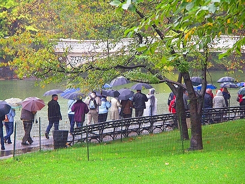 NY-Central_Park_in_the_rain-06.JPG