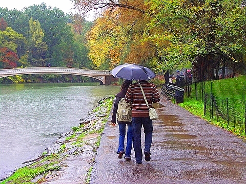 NY-Central_Park_in_the_rain-08.JPG