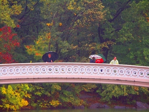 NY-Central_Park_in_the_rain-09.JPG