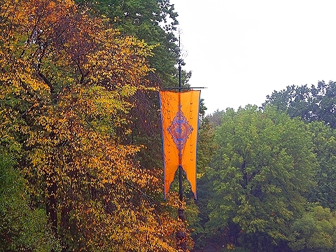NY-Central_Park_in_the_rain-10.JPG