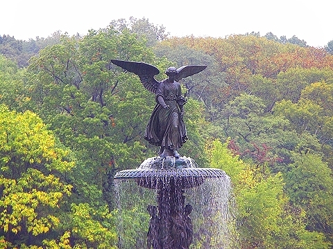 NY-Central_Park_in_the_rain-11.JPG