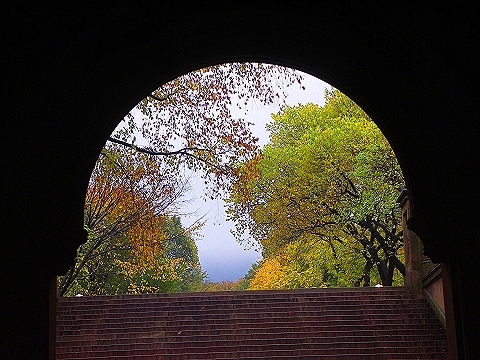 NY-Central_Park_in_the_rain-12.JPG