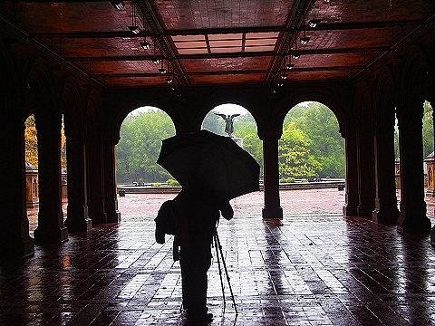NY-Central_Park_in_the_rain-13.JPG