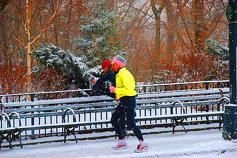 NY-Central_Park_in _the_Snow-02.JPG