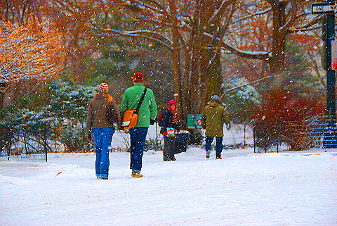 NY-Central_Park_in _the_Snow-03.JPG