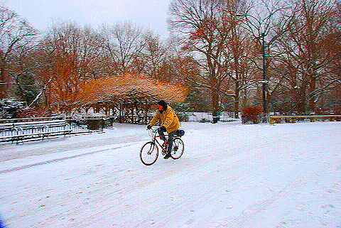 NY-Central_Park_in _the_Snow-04.JPG