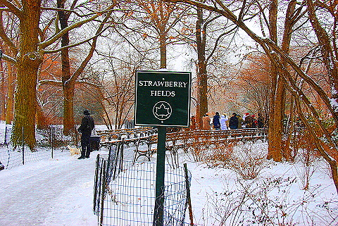 NY-Central_Park_in _the_Snow-05.JPG