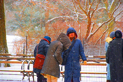 NY-Central_Park_in _the_Snow-06.JPG