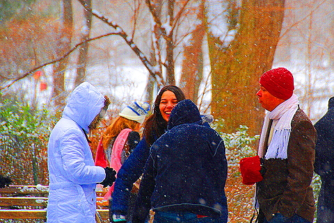 NY-Central_Park_in _the_Snow-07.JPG