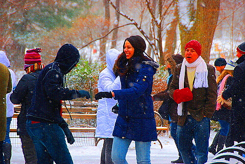 NY-Central_Park_in _the_Snow-08.JPG