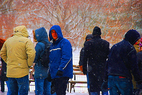 NY-Central_Park_in _the_Snow-09.JPG