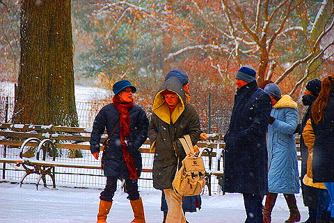 NY-Central_Park_in _the_Snow-10.JPG