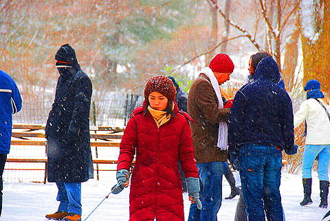 NY-Central_Park_in _the_Snow-11.JPG