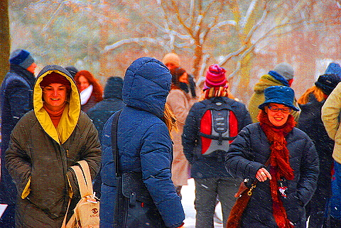 NY-Central_Park_in _the_Snow-12.JPG
