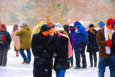 NY-Central_Park_in _the_Snow-13.JPG