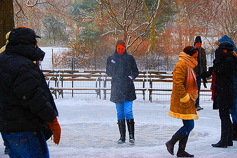 NY-Central_Park_in _the_Snow-14.JPG