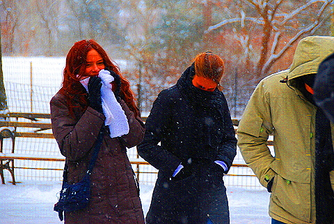 NY-Central_Park_in _the_Snow-15.JPG