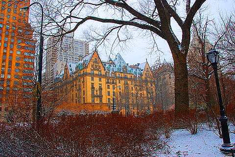 NY-Central_Park_in _the_Snow-18.JPG