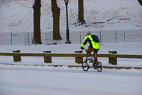 NY-Central_Park_in _the_Snow-19.JPG
