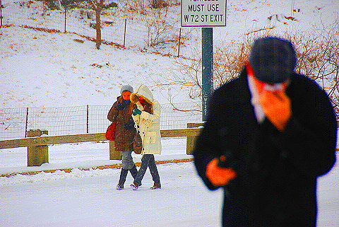 NY-Central_Park_in _the_Snow-20.JPG