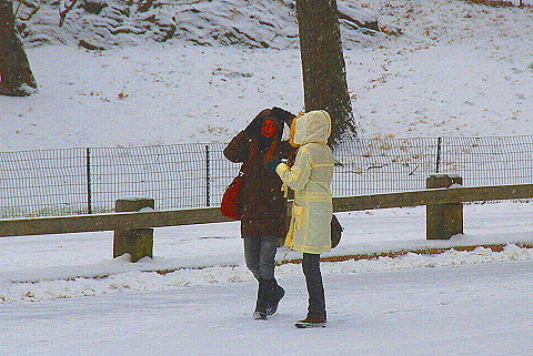 NY-Central_Park_in _the_Snow-21.JPG